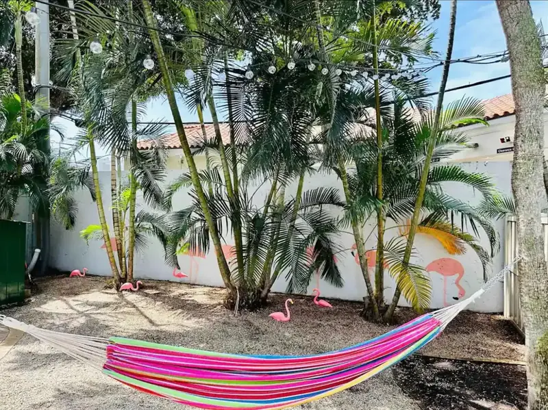 Backyard with hammock and palm trees